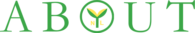 關(guān)於南六