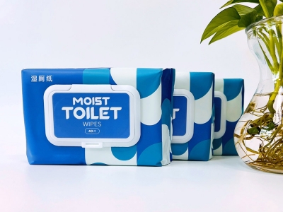 濕廁紙